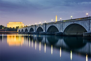 Best Washington DC Florists