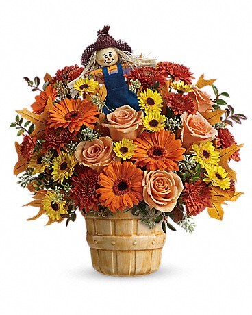 Premium size, 14 and a half inches height and 15 1/4 inches wide.