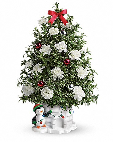 Deluxe size, 19 inches height and 12 inches wide.