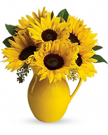 Teleflora S Sunny Day Pitcher Of Sunflowers In Port Lavaca Tx