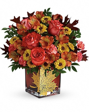 Standard size, 14 and a half inches height and 14 and a half inches wide.