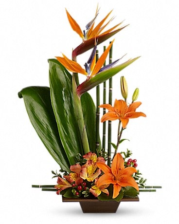 Teleflora's Exotic Grace Flower Arrangement