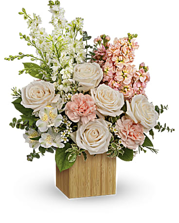 Premium size, 17 and a half inches height and 15 inches wide.