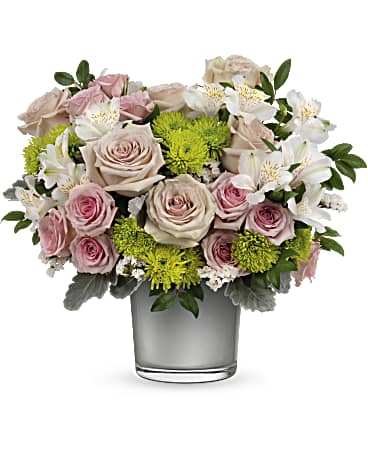 Premium size, 14 inches height and 15 and a half inches wide.