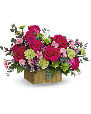 Premium size, 13 and a half inches height and 21 inches wide.