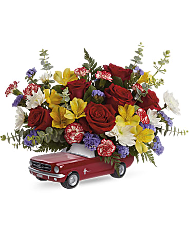 Premium size, 13 inches height and 16 and a half inches wide.