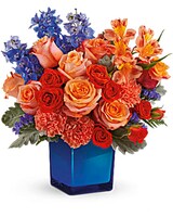 Premium size, 13 and a half inches height and 13 inches wide.
