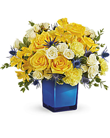 Premium size, 12 and a half inches height and 14 and a half inches wide.