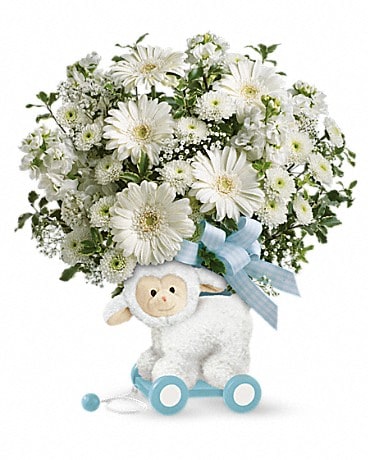 Premium size, 14 3/4 inches height and 13 and a half inches wide.