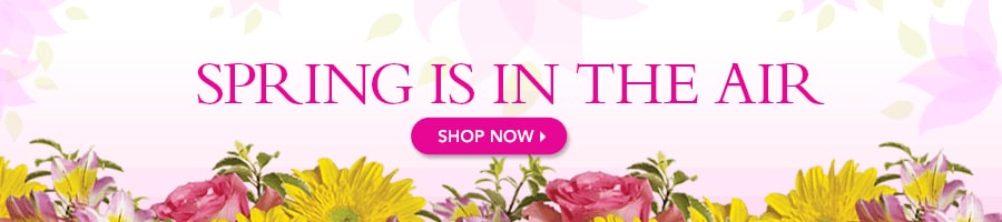 New Baby Flowers Delivery Parsippany Nj By Rene Flowers By Rene Your Teleflora Florist In Parsippany Nj
