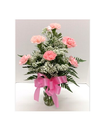 As Shown - 6 Pink Carnations size, inches height and inches wide.