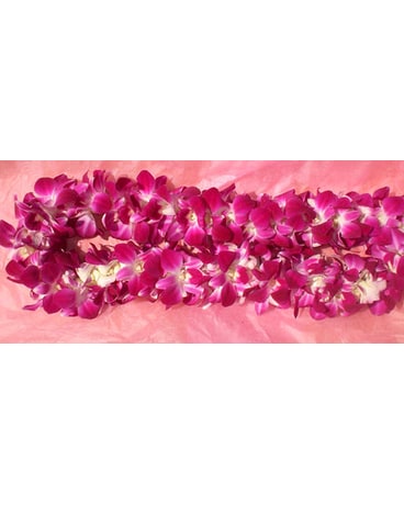 All Pink size, inches height and inches wide.
