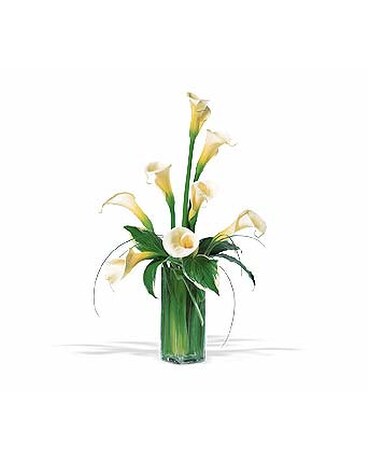 As Shown size, inches height and inches wide.