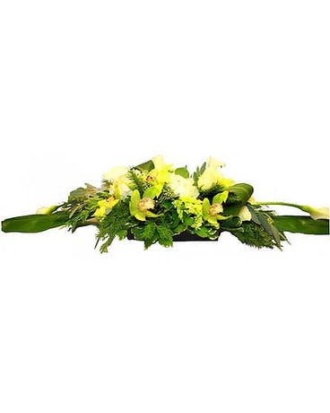 As Shown size, inches height and inches wide.
