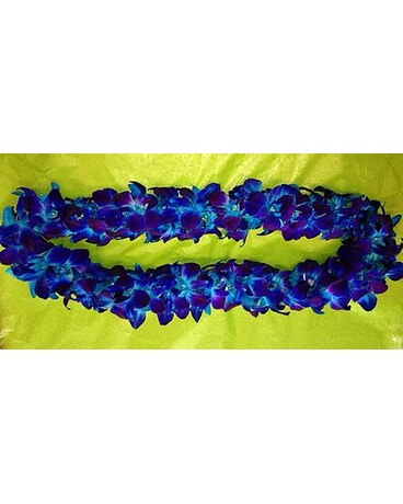 Solid Blue size, inches height and inches wide.