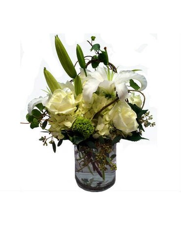 Deluxe (As Shown) size, inches height and inches wide.