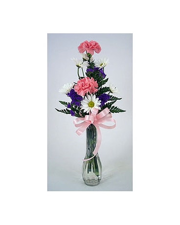 As Shown size, inches height and inches wide.
