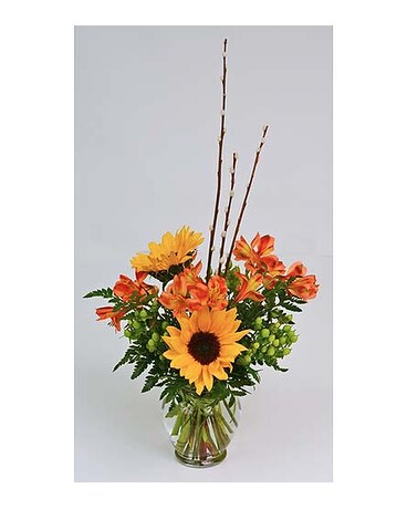 As Shown size, inches height and inches wide.