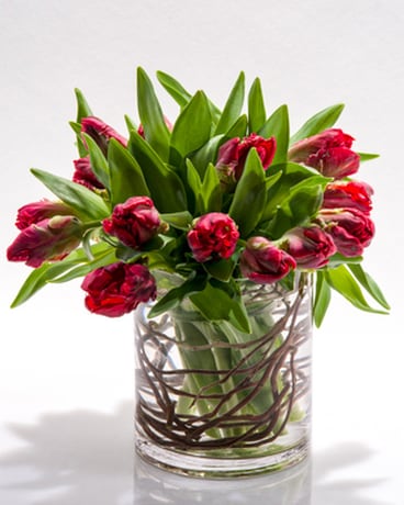 As Shown-20 size, inches height and inches wide.