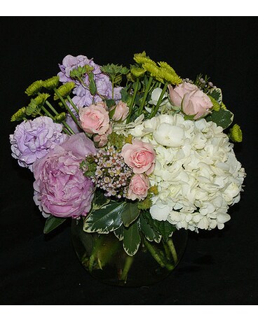 As Shown size, inches height and inches wide.