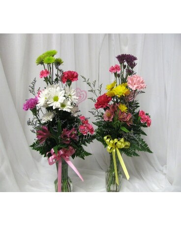 As Shown size, inches height and inches wide.