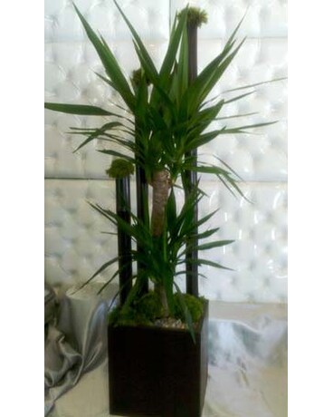 As shown size, inches height and inches wide.
