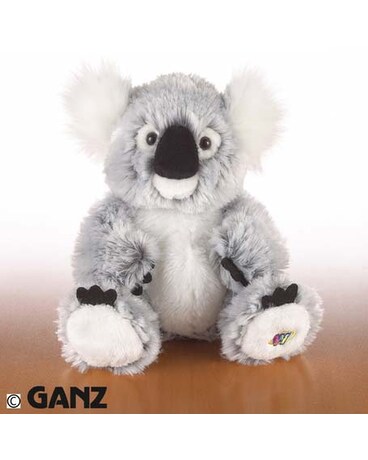 As Shown size, inches height and inches wide.