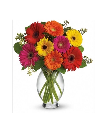 Gerbera Brights Flower Arrangement