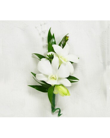 Starting At size, inches height and inches wide.