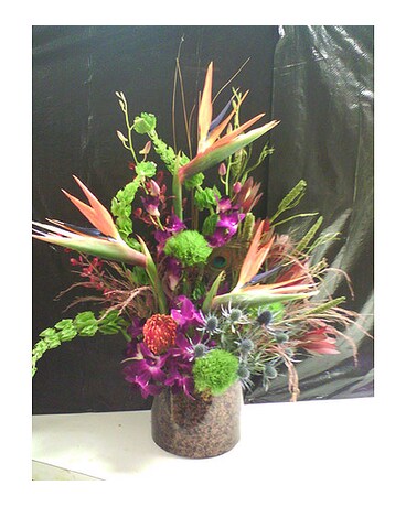 As Shown size, inches height and inches wide.