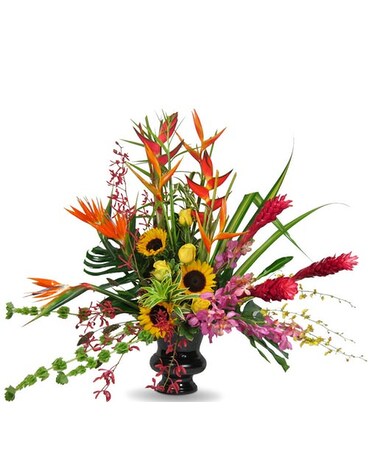 As Shown size, inches height and inches wide.