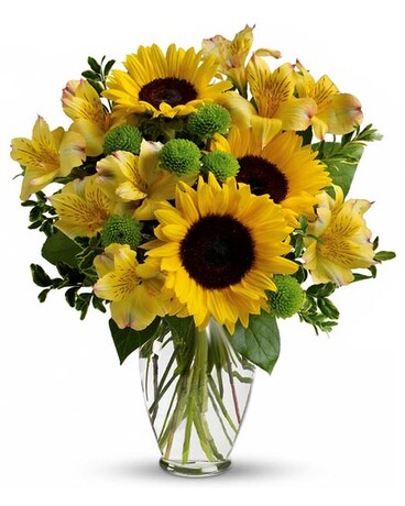 As Shown size, inches height and inches wide.