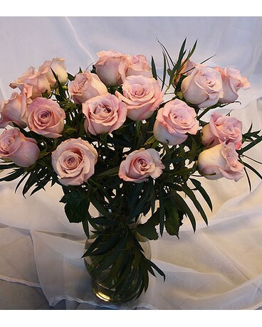 1 Dozen size, inches height and inches wide.