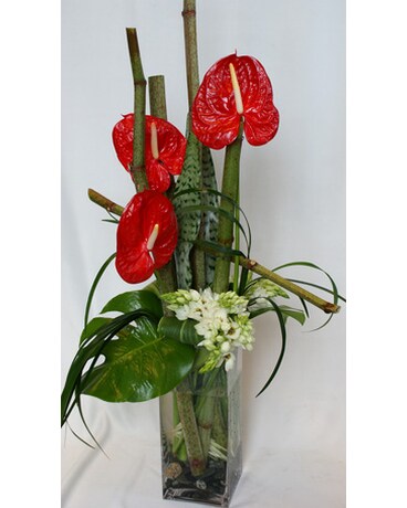 Lovely size, inches height and inches wide.