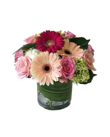 As Shown Premium size, inches height and inches wide.