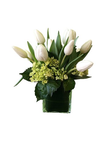 All White ~as shown size, inches height and inches wide.