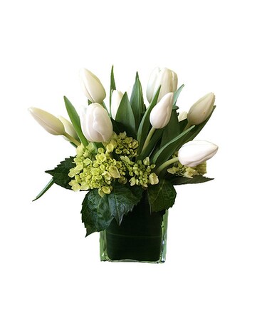 Tulip Bliss Flower Arrangement