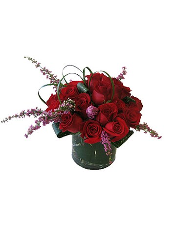 Red As Shown size, inches height and inches wide.