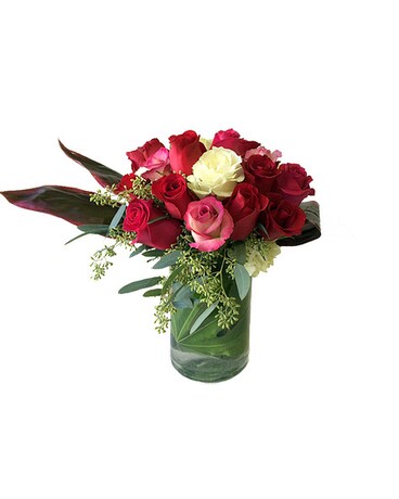 As Shown Assorted size, inches height and inches wide.