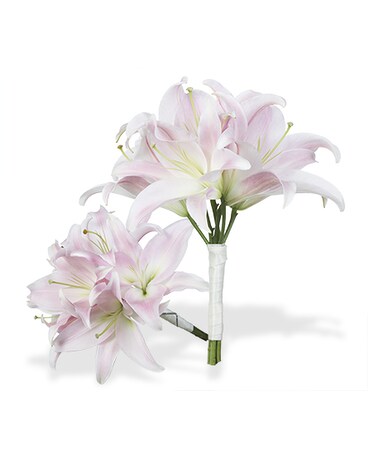As Shown size, inches height and inches wide.