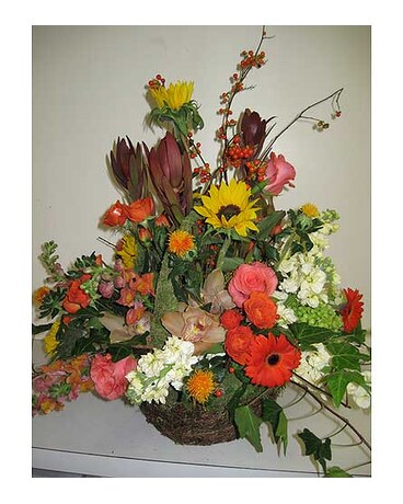 As Shown size, inches height and inches wide.