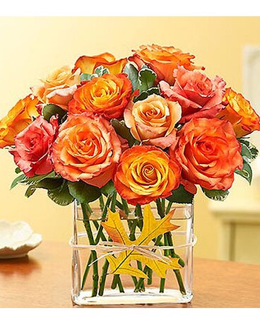 As Shown-18 Roses size, inches height and inches wide.