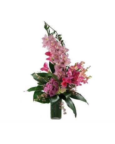 As Shown size, inches height and inches wide.