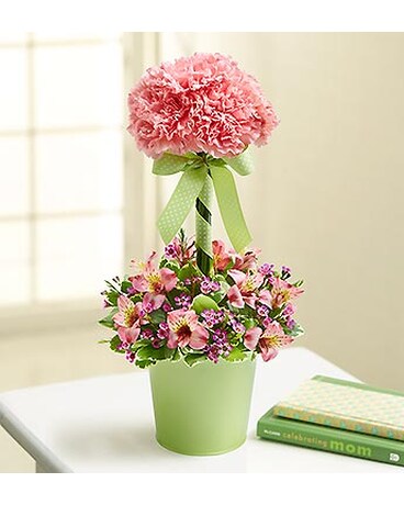 Pink (as shown) size, inches height and inches wide.