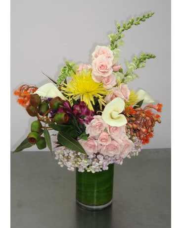 As Shown size, inches height and inches wide.