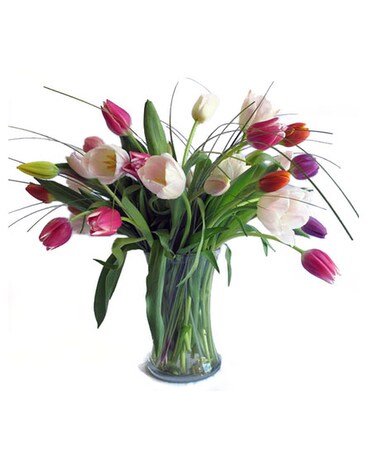 35 tulips- Pictured size, inches height and inches wide.