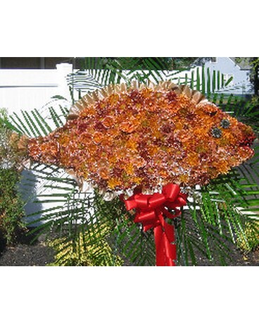 As Shown size, inches height and inches wide.
