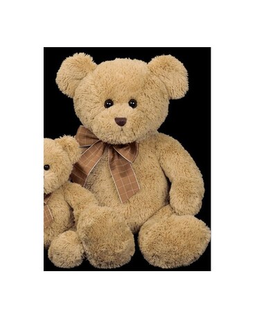 Baby Bensen 10