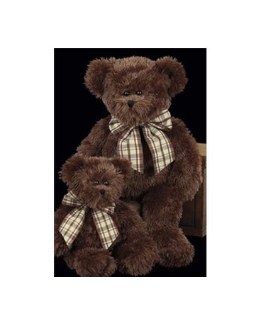 Baby Bosco 10
