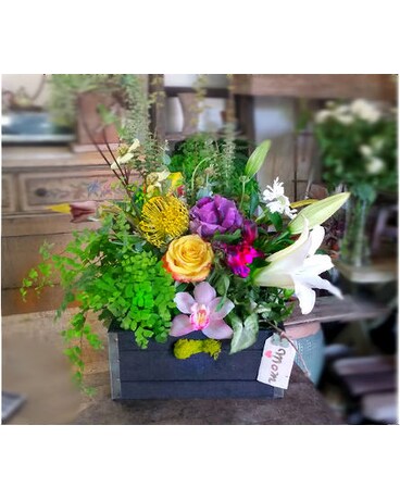 small 7x7 box size, inches height and inches wide.